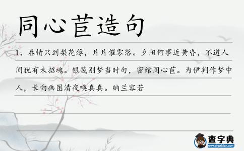 同心苣造句