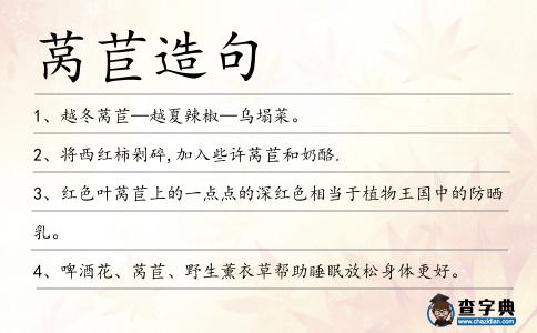 萵苣造句