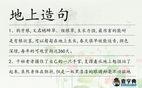 地上造句