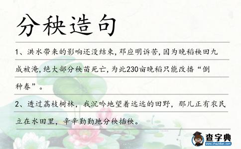 分秧造句