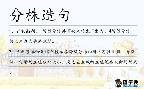 分株造句