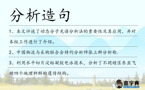 分析造句