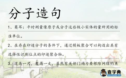 分子造句