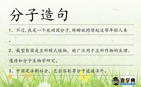 分子造句