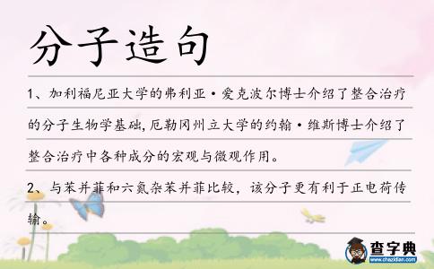 分子造句