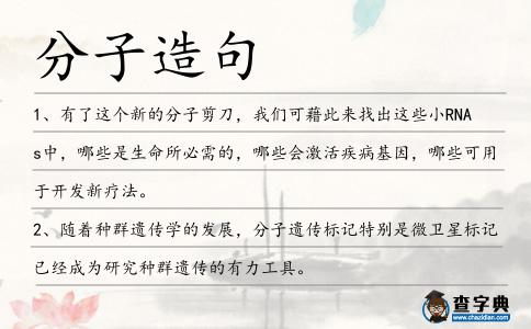 分子造句
