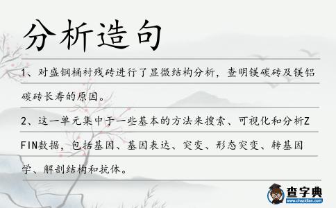 分析造句