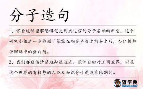 分子造句