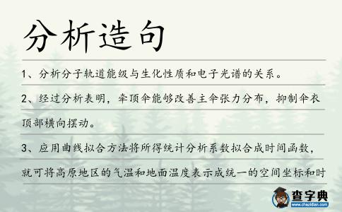 分析造句