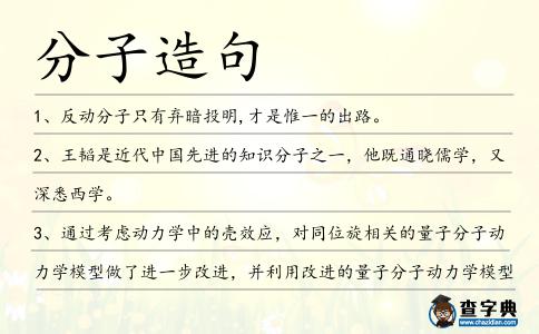 分子造句
