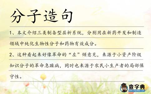分子造句