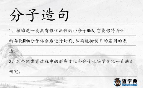 分子造句