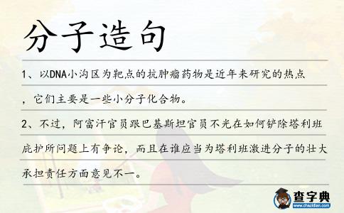分子造句