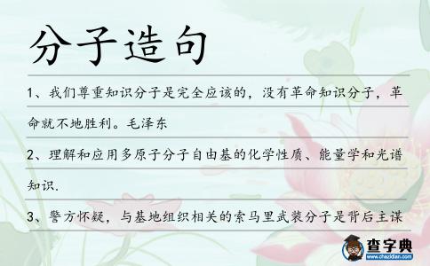 分子造句