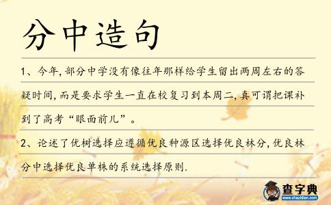 分中造句