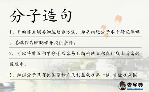 分子造句