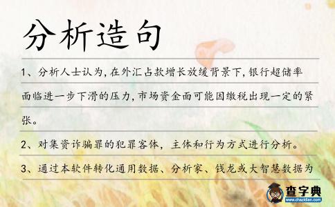 分析造句