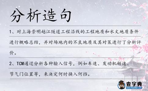 分析造句