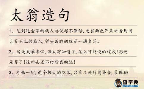 太翁造句