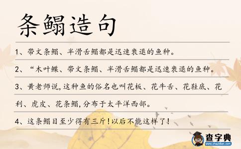 條鰨造句