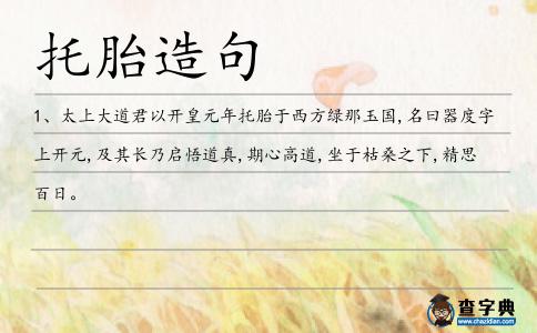 托胎造句