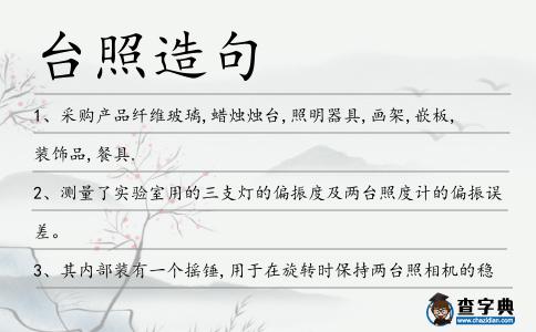 臺照造句