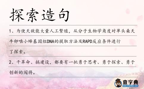 探索造句