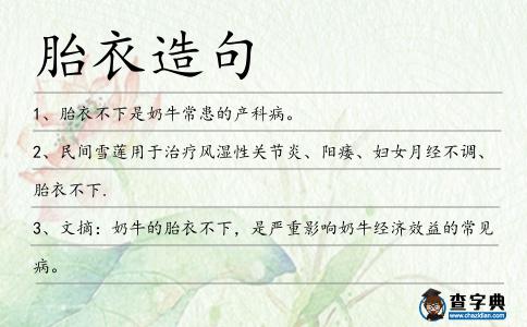 胎衣造句