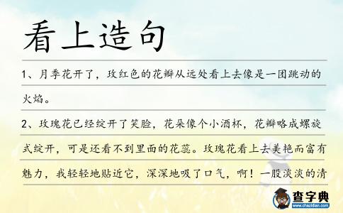 看上造句