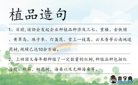 植品造句