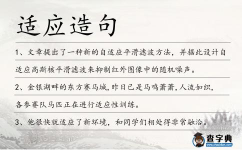 適應造句