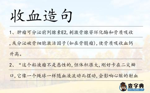 收血造句