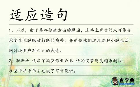 適應造句