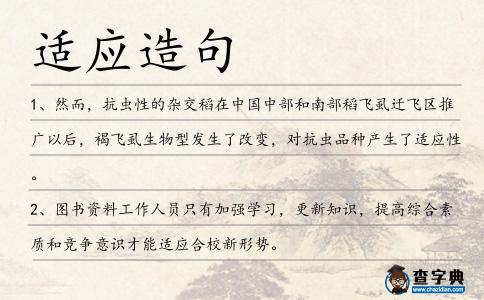 適應造句