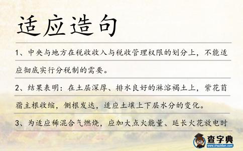 適應造句