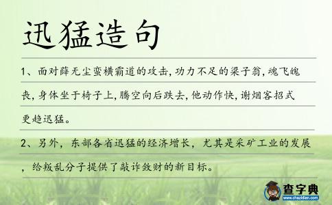 迅猛造句