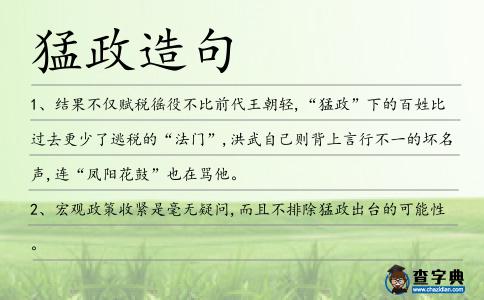 猛政造句