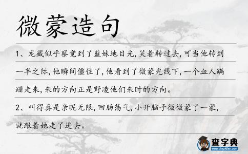 微蒙造句