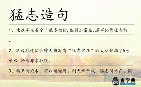 猛志造句