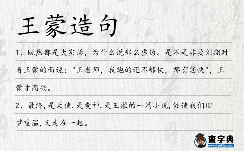 王蒙造句