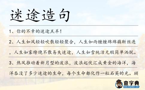 迷途造句