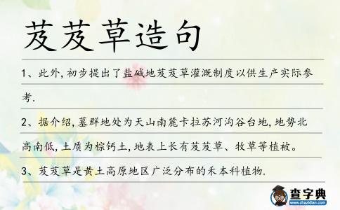 芨芨草造句