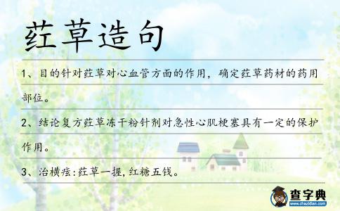 葒草造句