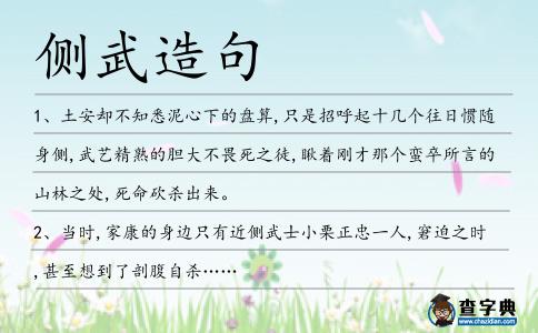 側(cè)武造句