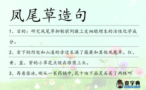 鳳尾草造句