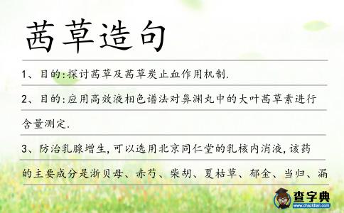 茜草造句