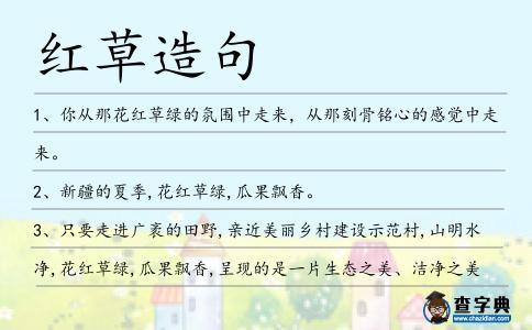 紅草造句