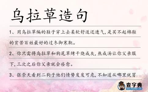烏拉草造句