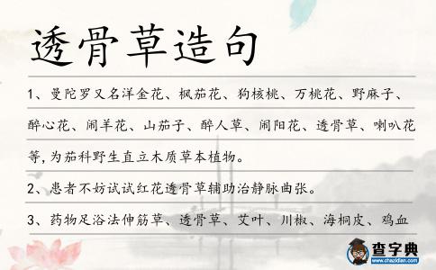 透骨草造句