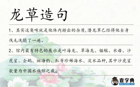 龍草造句